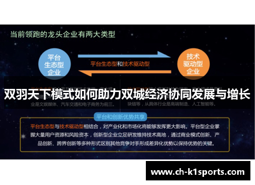 双羽天下模式如何助力双城经济协同发展与增长